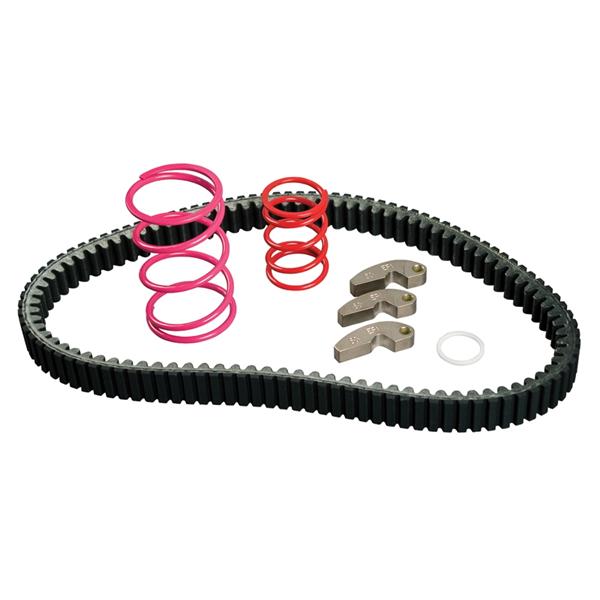Dragon Fire Polaris RZR Standard Clutch Kit (07-09)